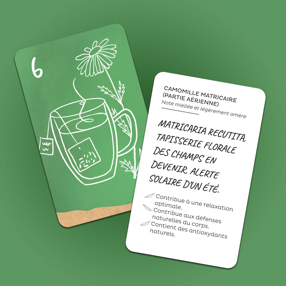 carte d'herboristerie, illustration et textes informatif sur les bienfaits de la plante