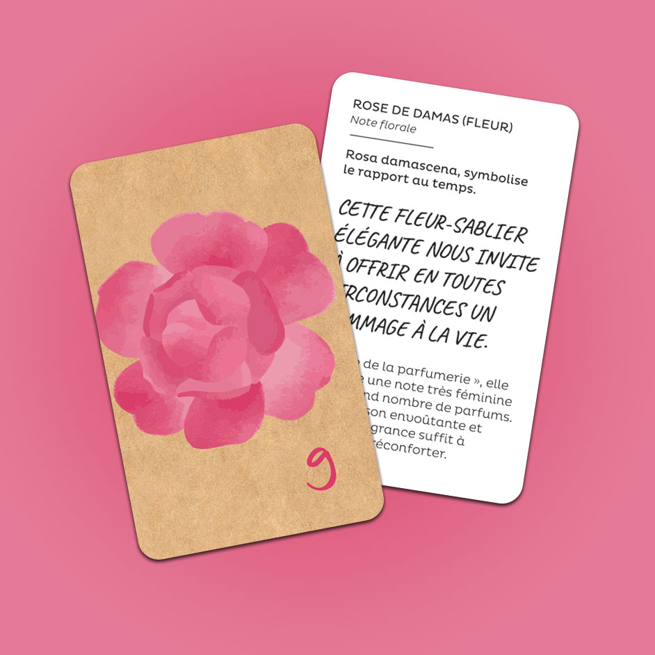 carte d'herboristerie, illustration et textes informatif cette plante emblématique
