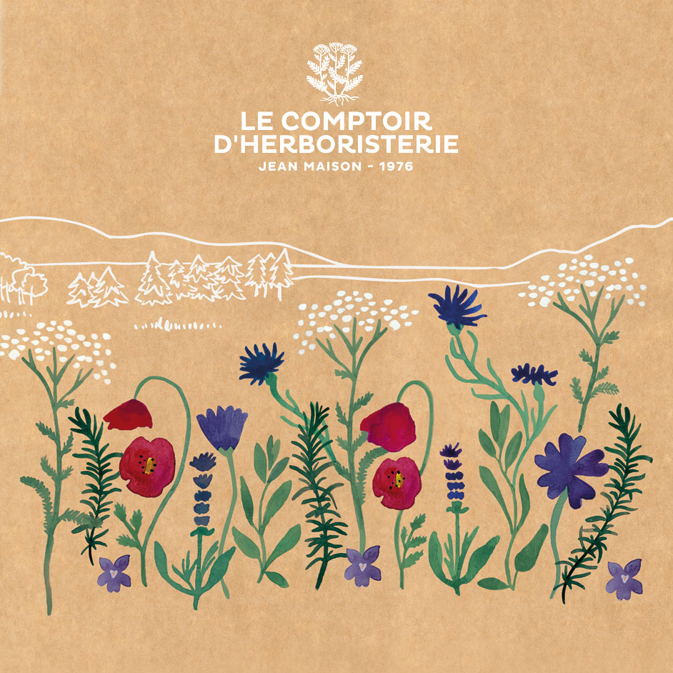 illustration pour le facing du calendrier