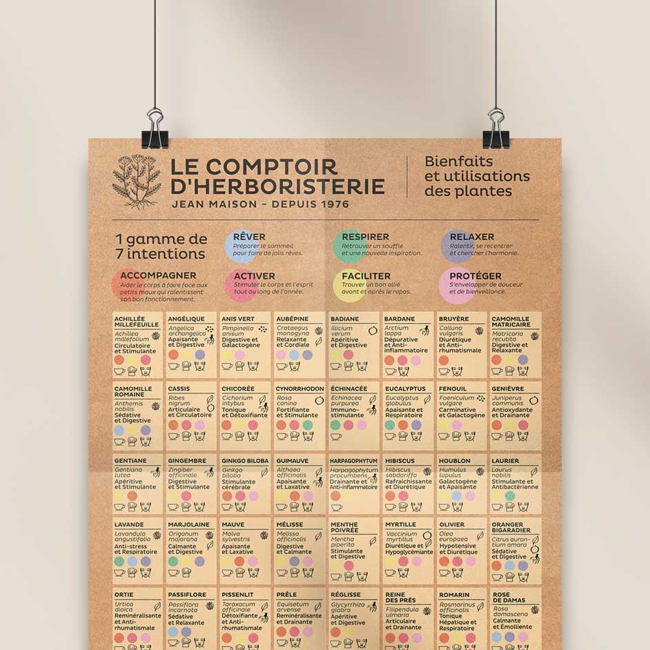 Affiche les bienfaits et utilisation des plantes