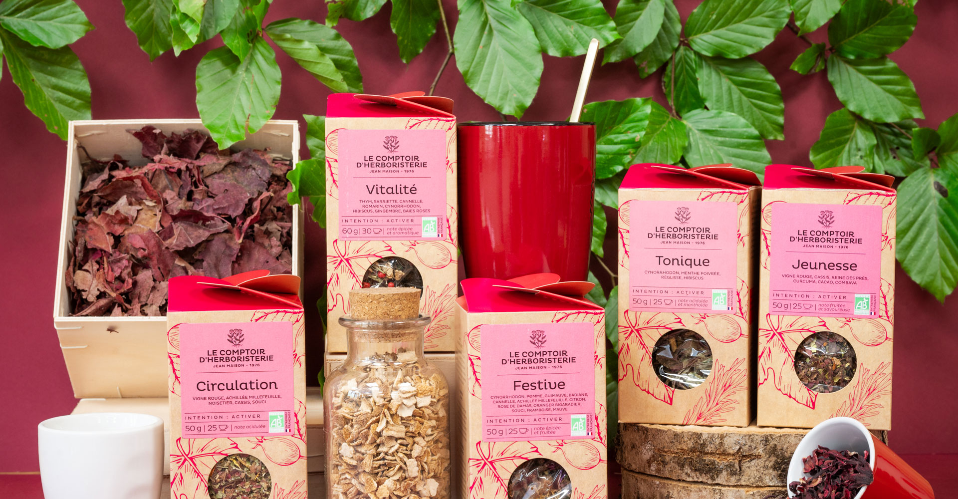 gamme de mélange de plantes, intention activer. Photo Nadia Moléon