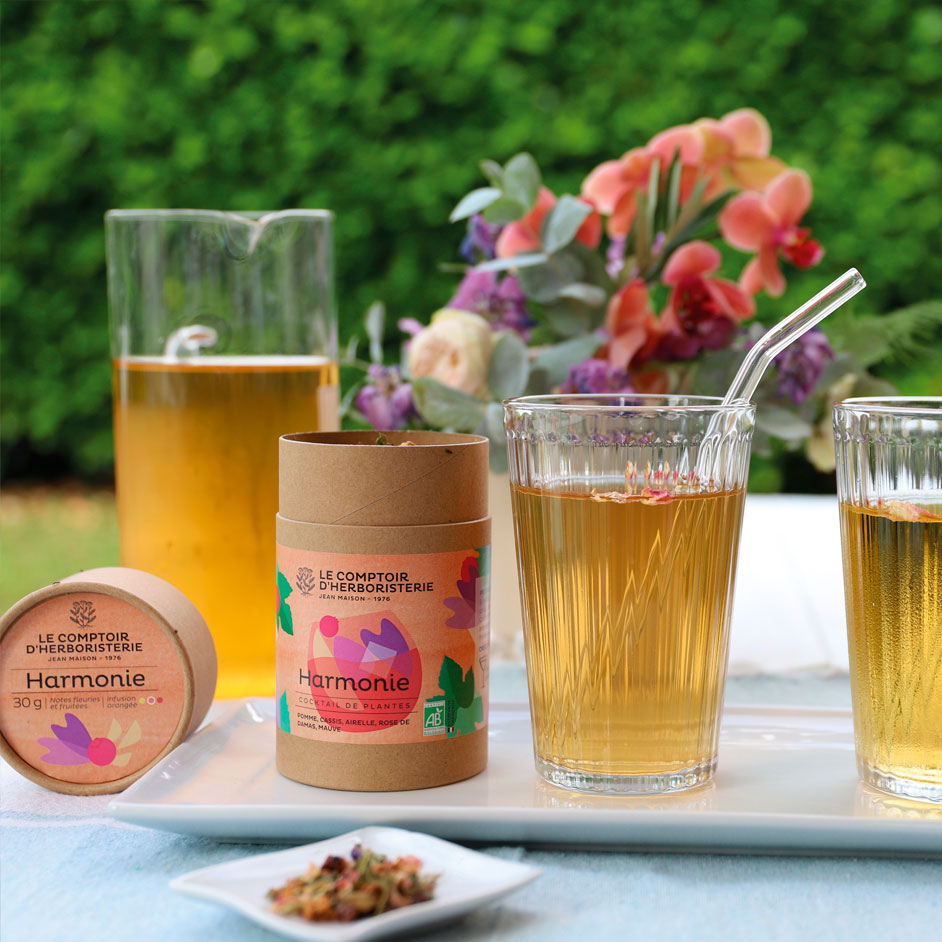 recette de mocktail glacé "harmonie" plantes et fruits