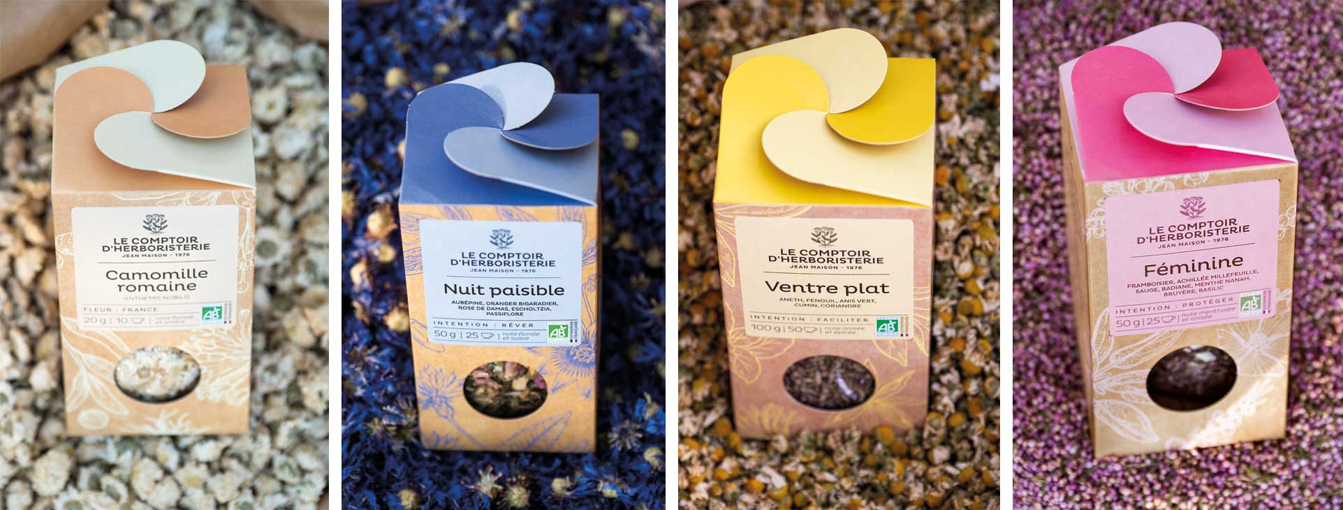 vue d'ensemble d'une gamme de packaging de tisanes entouré de plantes en vrac